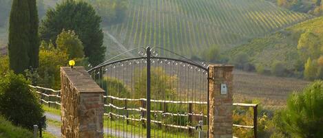 Loft, 1 Bedroom, Accessible, Smoking | Property grounds