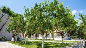 Un patio con árboles, un sendero y un edificio de fachada blanca.
