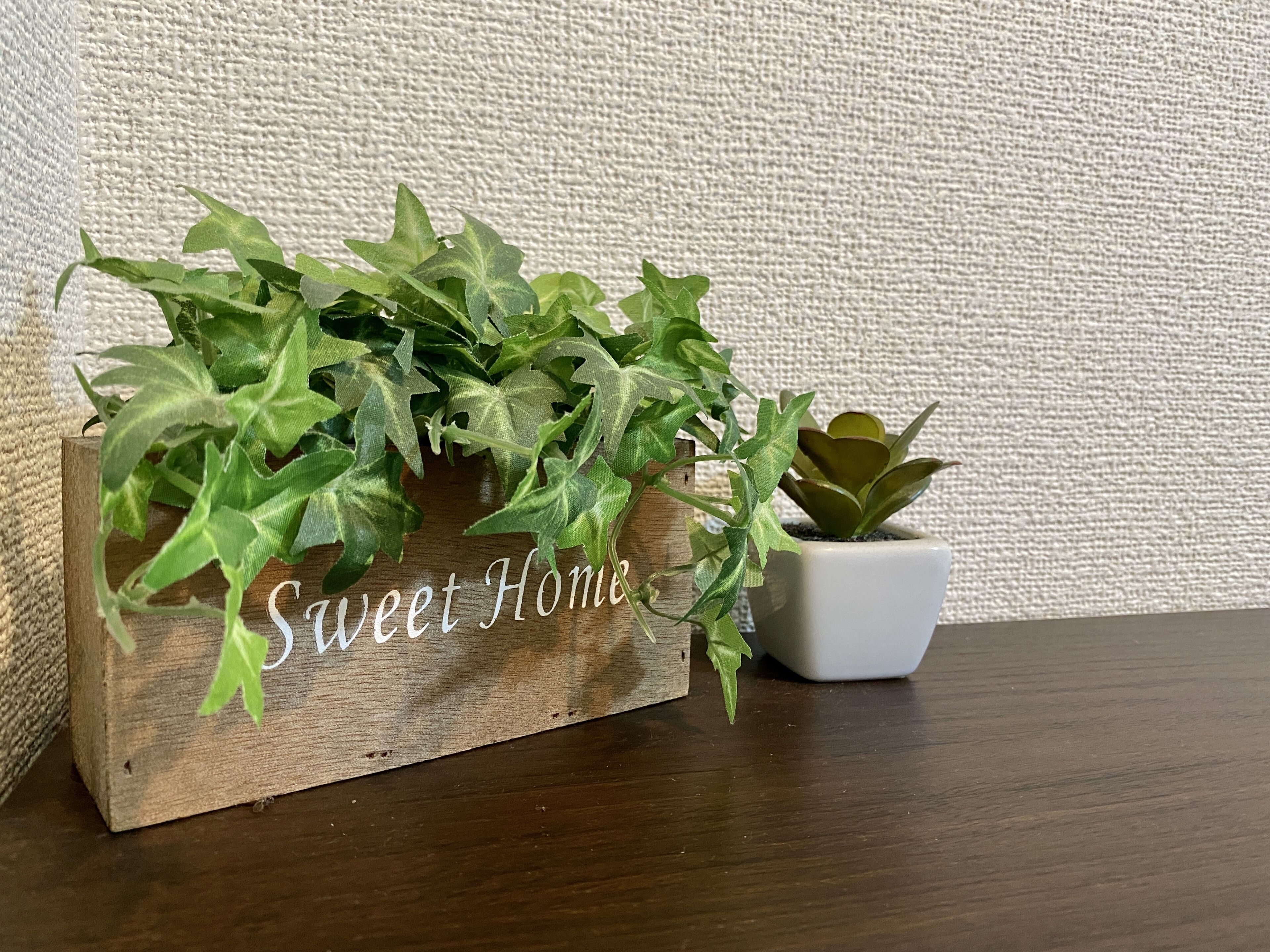 A wooden planter box with the text "Sweet Home" and a small potted succulent plant beside it.