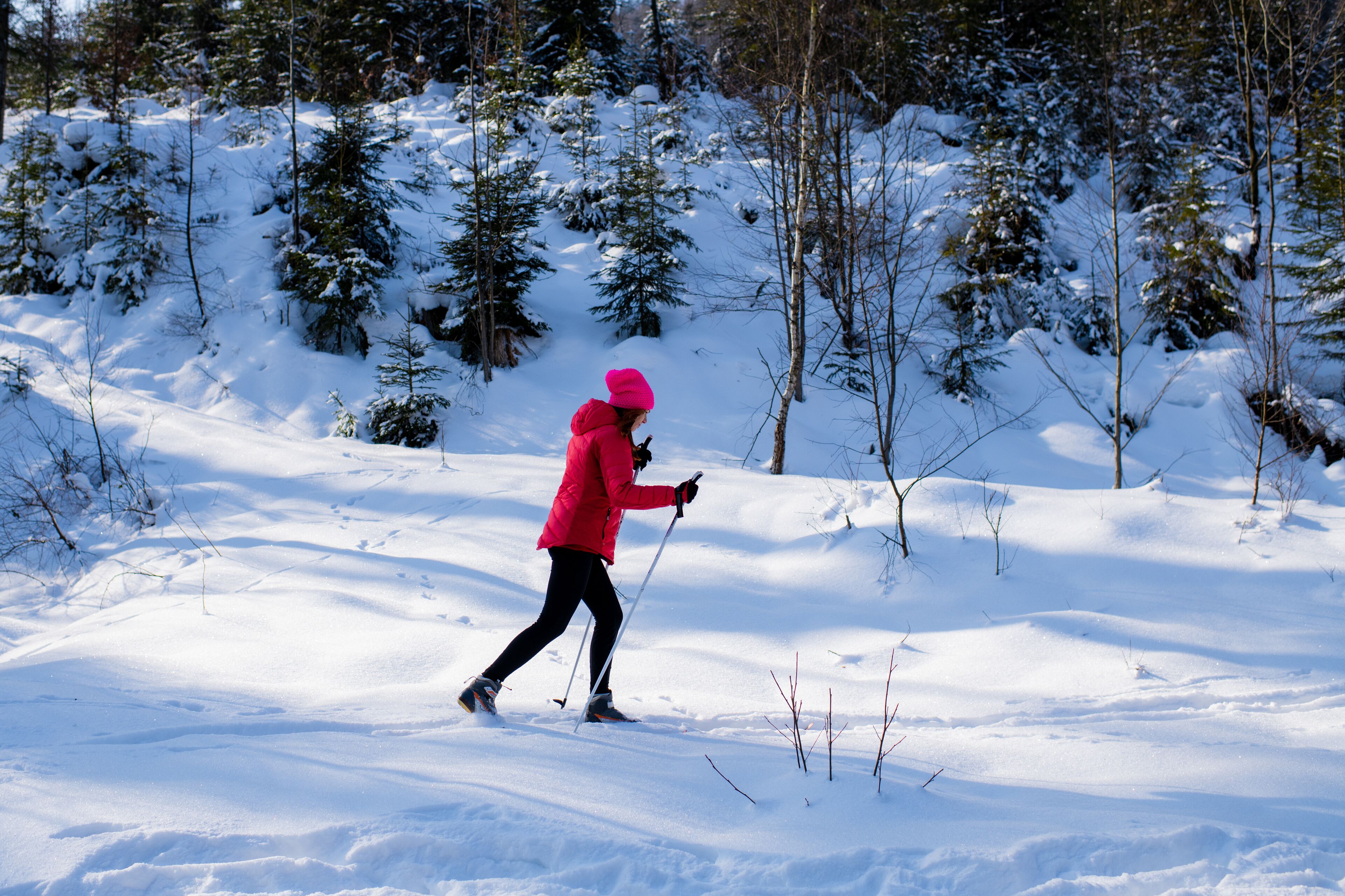 A person skiing in a snowy forest.