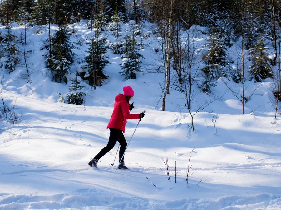 A person skiing in a snowy forest.
