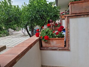 Vista des de l'habitació