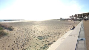 Une plage avec une rive sablonneuse, une promenade en béton et des palmiers.