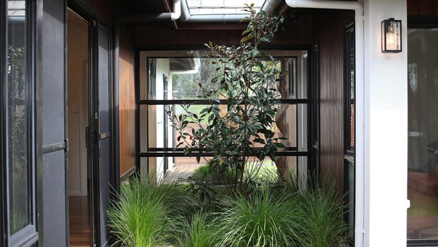 A modern entrance with a glass door, a wooden deck, and a small plant.