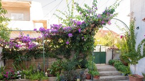 A garden with a variety of potted plants and flowers, a statue, and steps leading to a gate. - Apartments Anita Summer (Vodice)