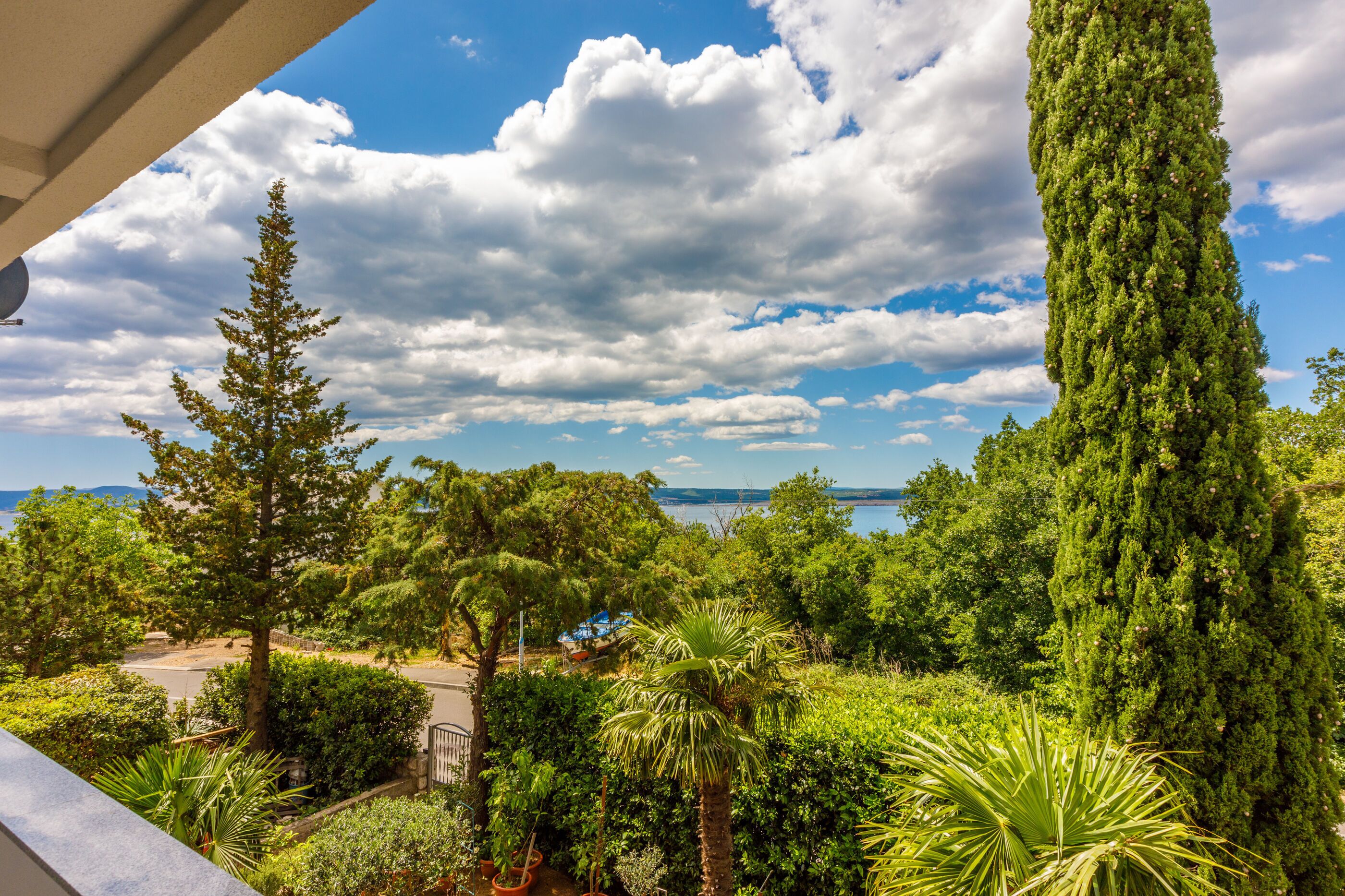 ウォーター ビュー