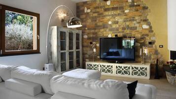 Fernseher, Kamin, DVD-Player, Bücher