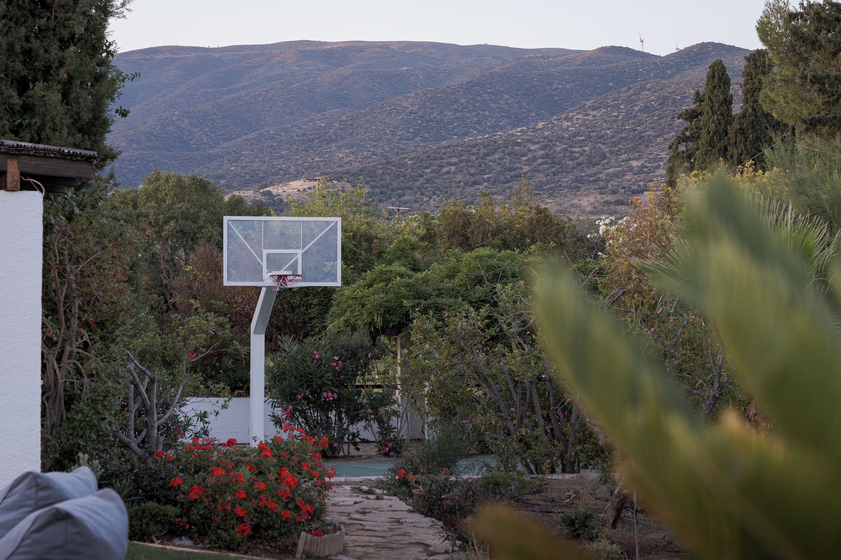 Smart TV, chimenea, Netflix, servicios de streaming