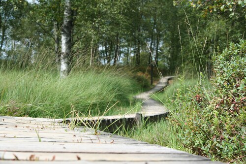 Die Ferienwohnung im Vennweg