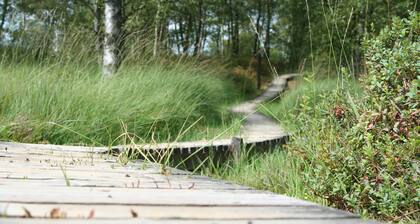 The vacation apartment in Vennweg