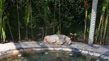 Bungalow, 4 habitaciones, para fumadores, alberca privada | Jardín
