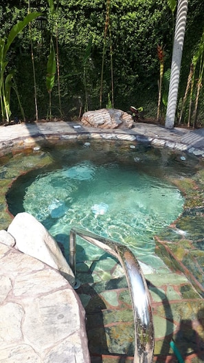 Una piscina cristalina con escalones de piedra para entrar, rodeada de abundante vegetación.