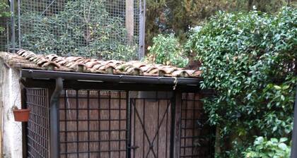 Delicious Apartment in Florence Under the Hills of Fiesole and Settignano
