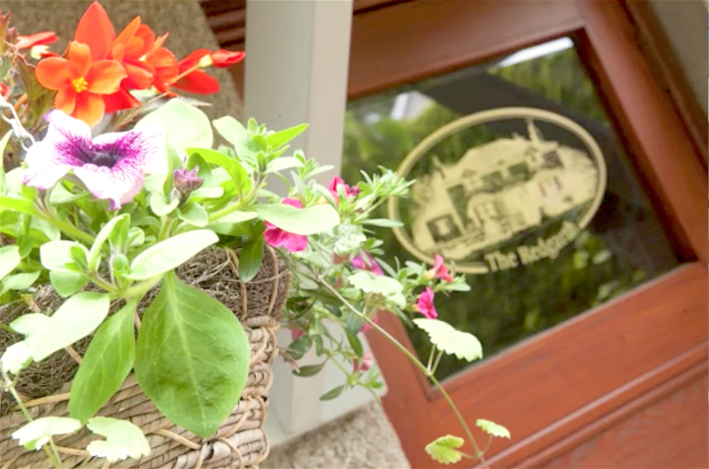 A potted plant with flowers in front of a window with a sign that reads "The Lodge".