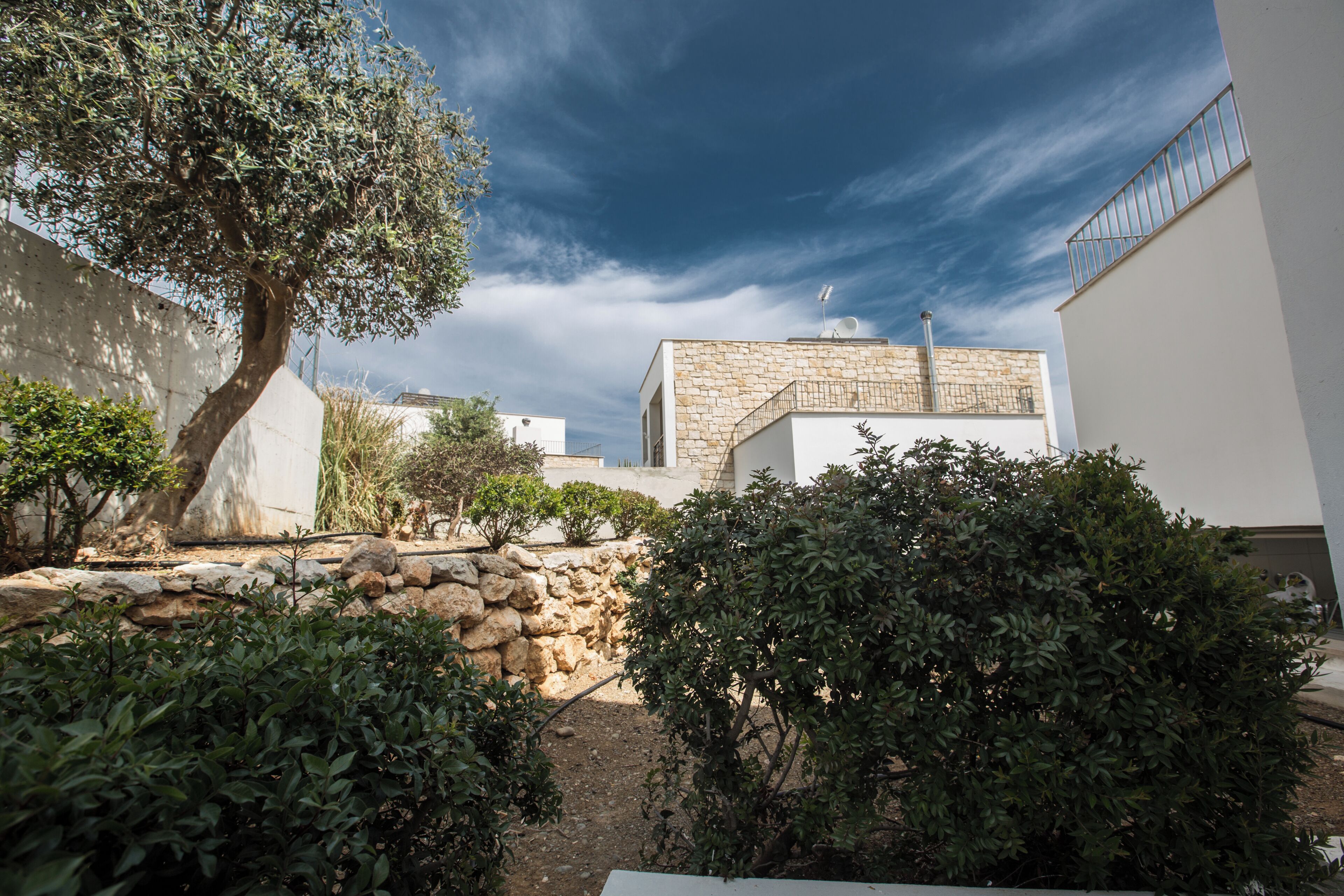 A courtyard with stone walls, a large tree, and a modern building with a stone facade.