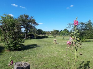 Parco della struttura