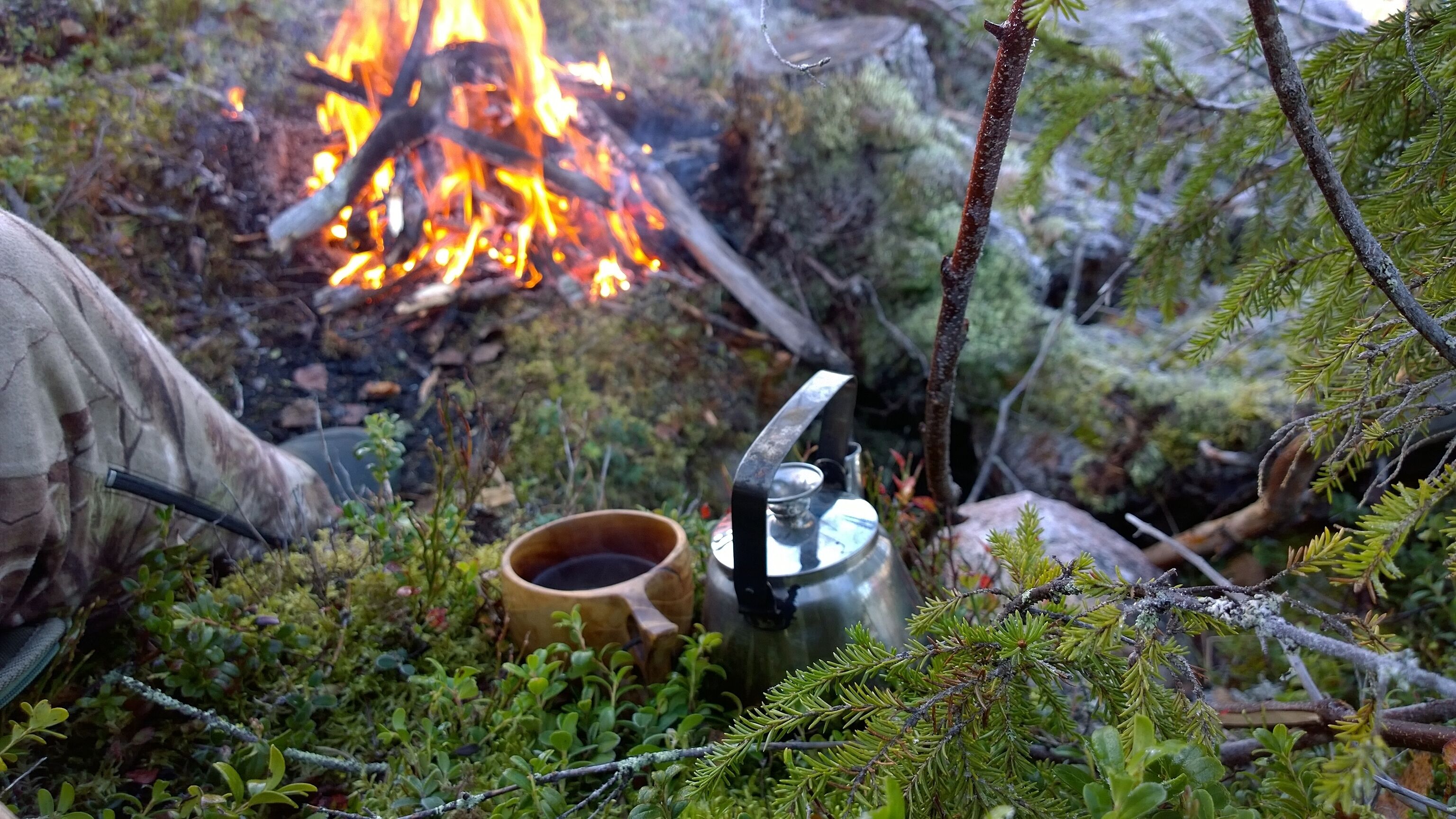 A campsite with a fire, a kettle, and a cup.