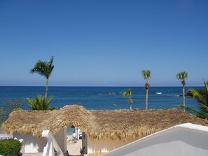 A beach view with a thatched-roof structure, palm trees, and a clear blue sky. - 3br Villa With Vip Access - All Inclusive Program With Alcohol Included (Puerto Plata)