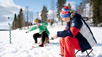 Randonnées en raquettes