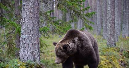 Lentiira Holiday Village