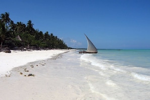 On the beach - Villa - Right on the Beach, Under the Coconut Trees, Sleeps 10, Pool, Chef (Bwejuu)