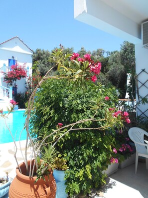 Apartment, 1 Bedroom, Balcony, Garden View | Balcony - Meltemia Studio Samos Only 200 Metres From Aegean Sea (Samos)