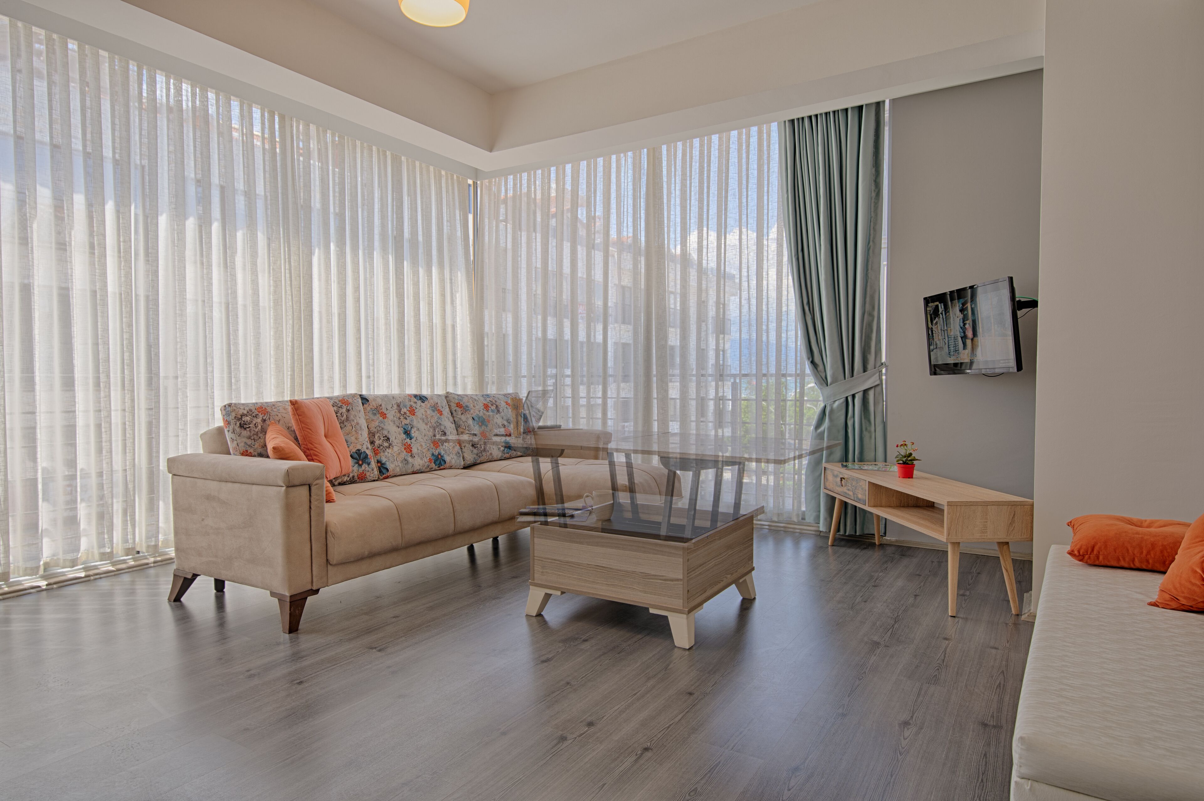 102-英寸液晶电视 （配备卫星频道）、电视