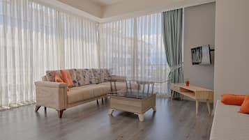 102-inch LCD TV with satellite channels, TV