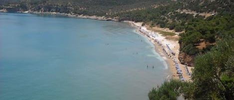 Apartment, 1 Bedroom, Balcony, Mountain View | Exterior