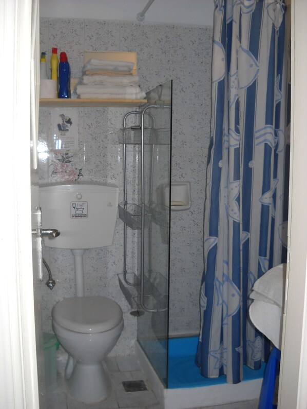 Apartment, 1 Bedroom, Balcony, Mountain View | Bathroom amenities