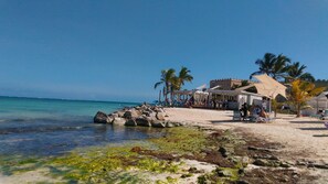 Property grounds - Villa Diane in Bavaro in the Near of Punta Cana (Punta Cana)