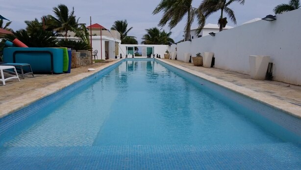 A swimming pool with a tiled edge, surrounded by white walls and palm trees.