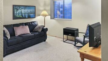 Smart TV, fireplace, DVD player