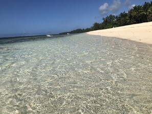 Beach - Comfortable Self Catering Beach House on Award Winning Marine Conservancy (Kibaoni)