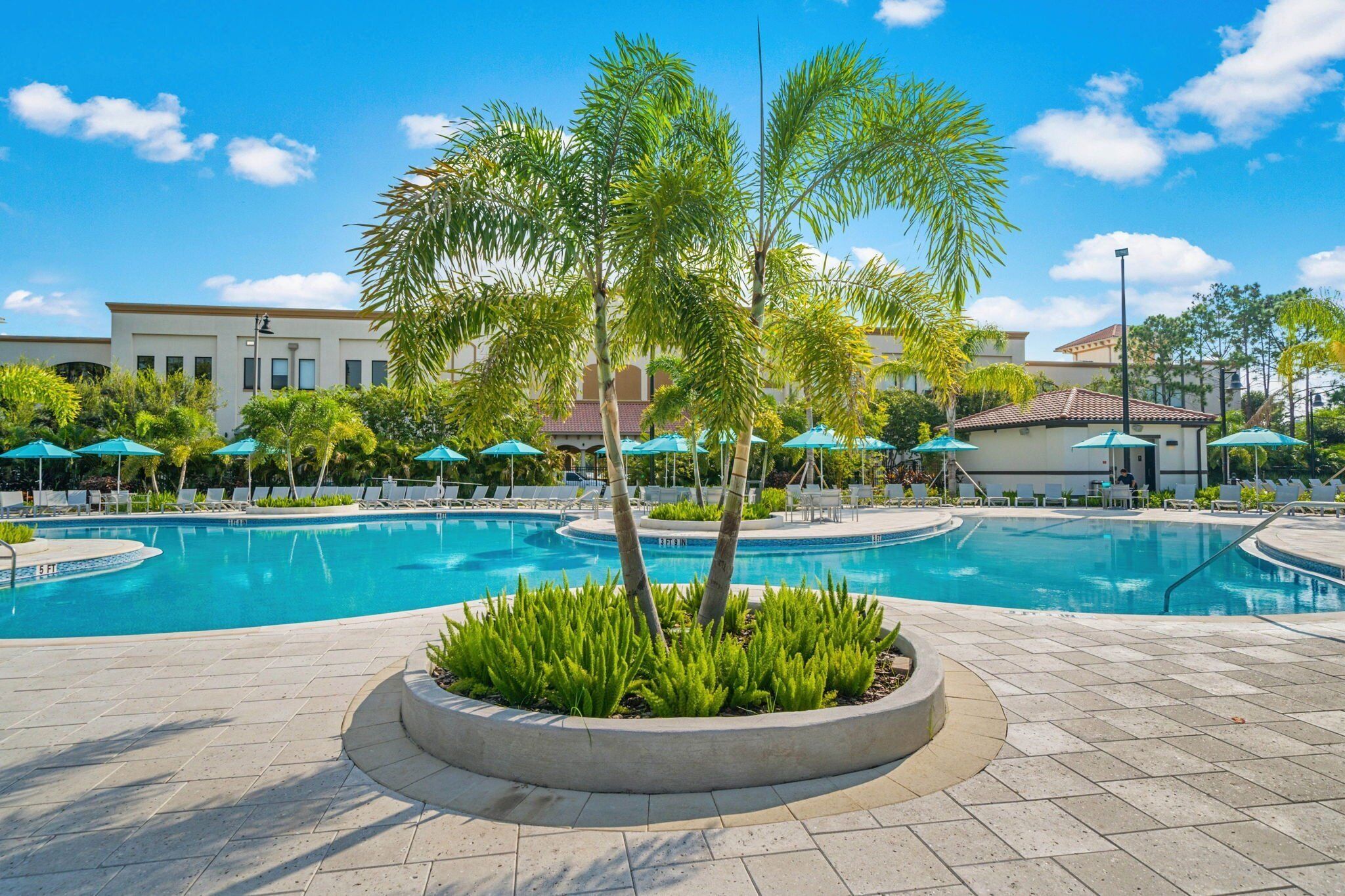 A swimming pool with lounge chairs and umbrellas, surrounded by palm trees and a building in the background.