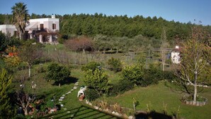 A house with a garden path leading to a white chair. - Casa Verde - Relaxing in Nature (Kos)