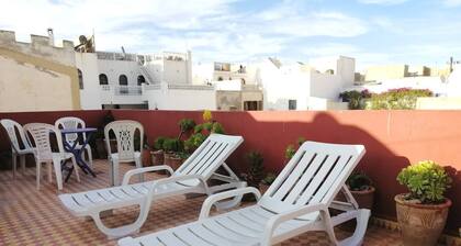 The Little Seagull 2