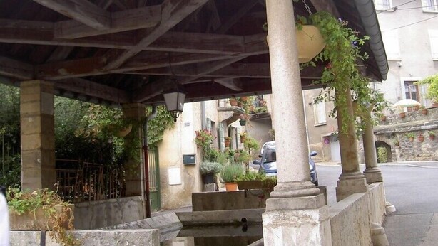 A covered outdoor area with stone columns, a metal roof, and potted plants. - Le cocon des Monts d'Or - cosy studio (Saint-Germain-au-Mont-d’Or)