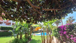 A garden with a swimming pool, lush greenery, and a brick wall. - FH - Holiday rental near the beach in Vera Playa (Vera playa)