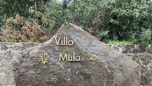 A large rock with carved text and symbols, surrounded by greenery.