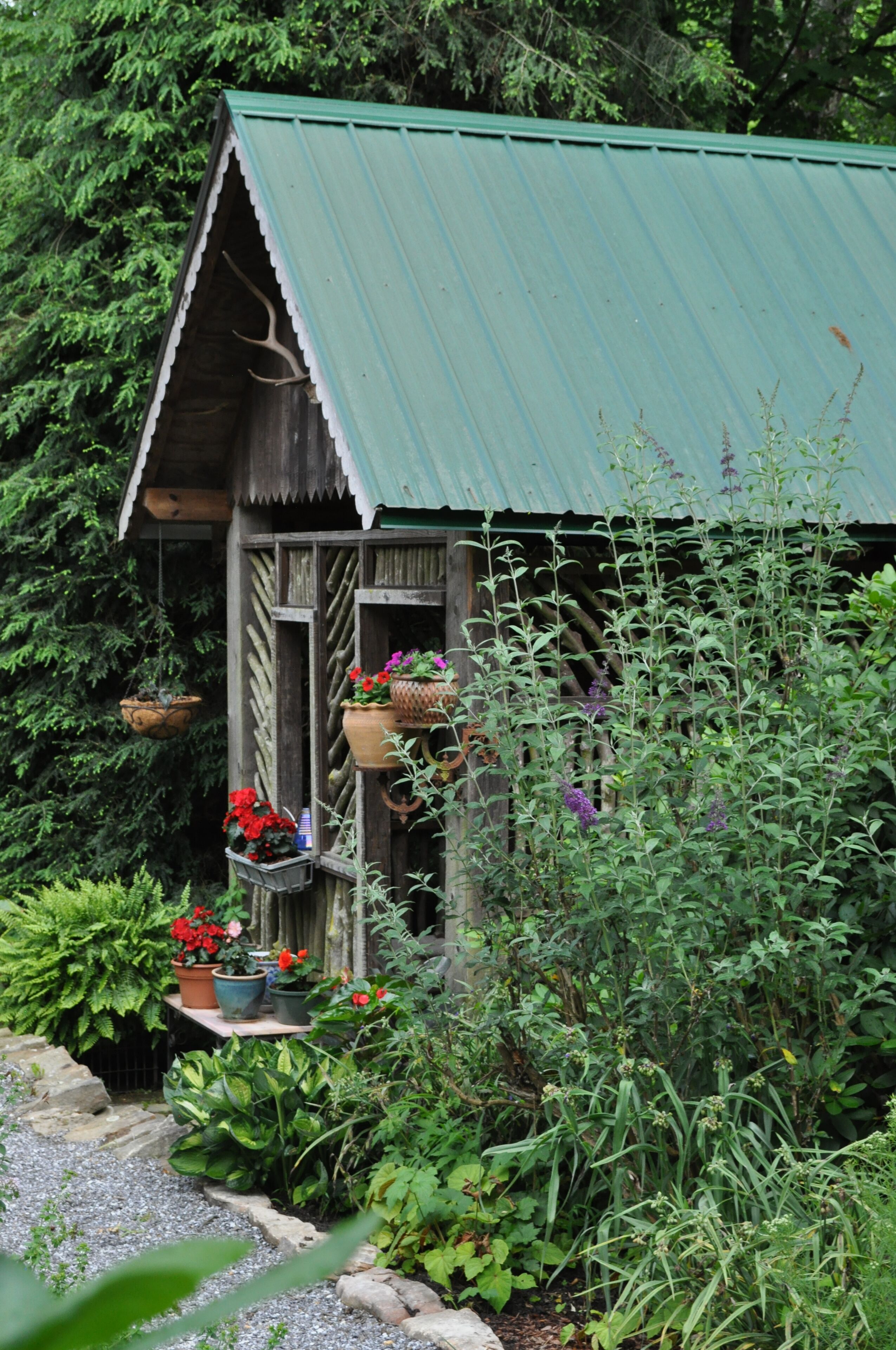 Une construction rustique en bois, surmontée d’un toit végétalisé, entourée d’une végétation luxuriante et de plantes en pot.