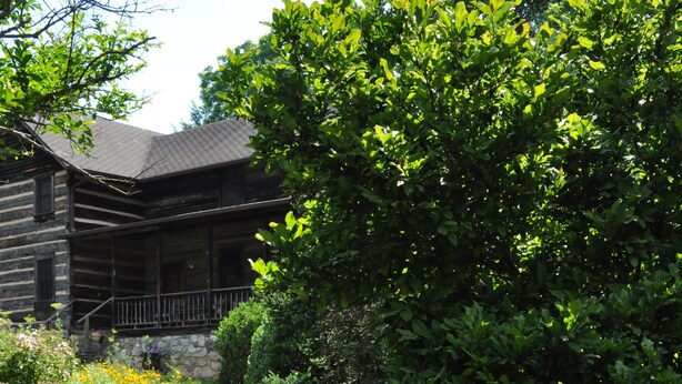 A stone pathway leading to a rustic wooden building surrounded by lush greenery and various plants. - 1850s log cabin 1 mile to downtown Weaverville 15% discount 7 days or more (Weaverville)
