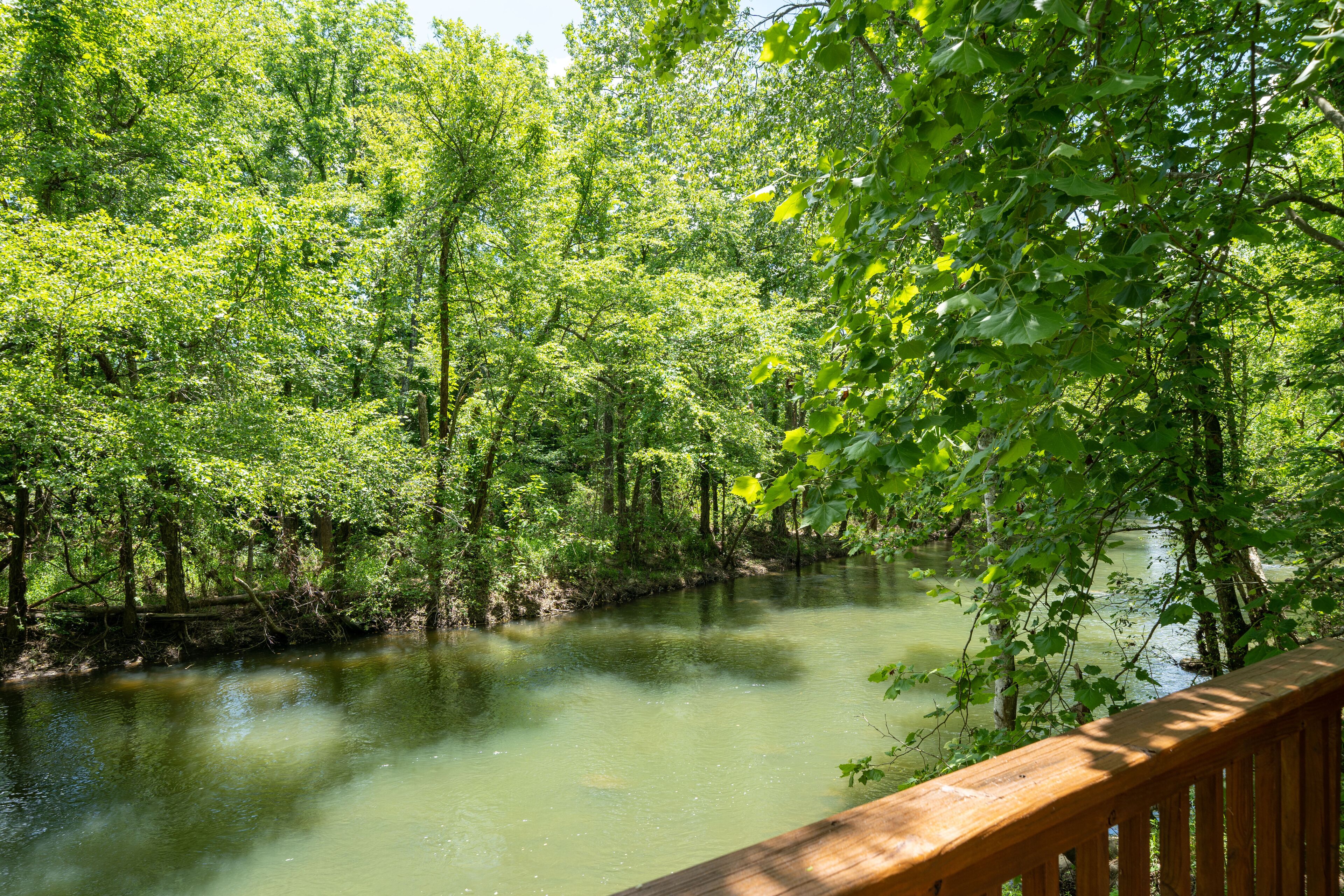 A river surrounded by dense green foliage, with a wooden deck overlooking the water.