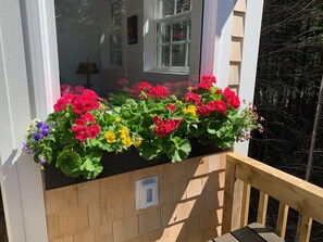 Exterior detail - Oceanfront cottage with new Oceanfront Master BR in 2023, complete remodel 2021 (Wilsons Beach)