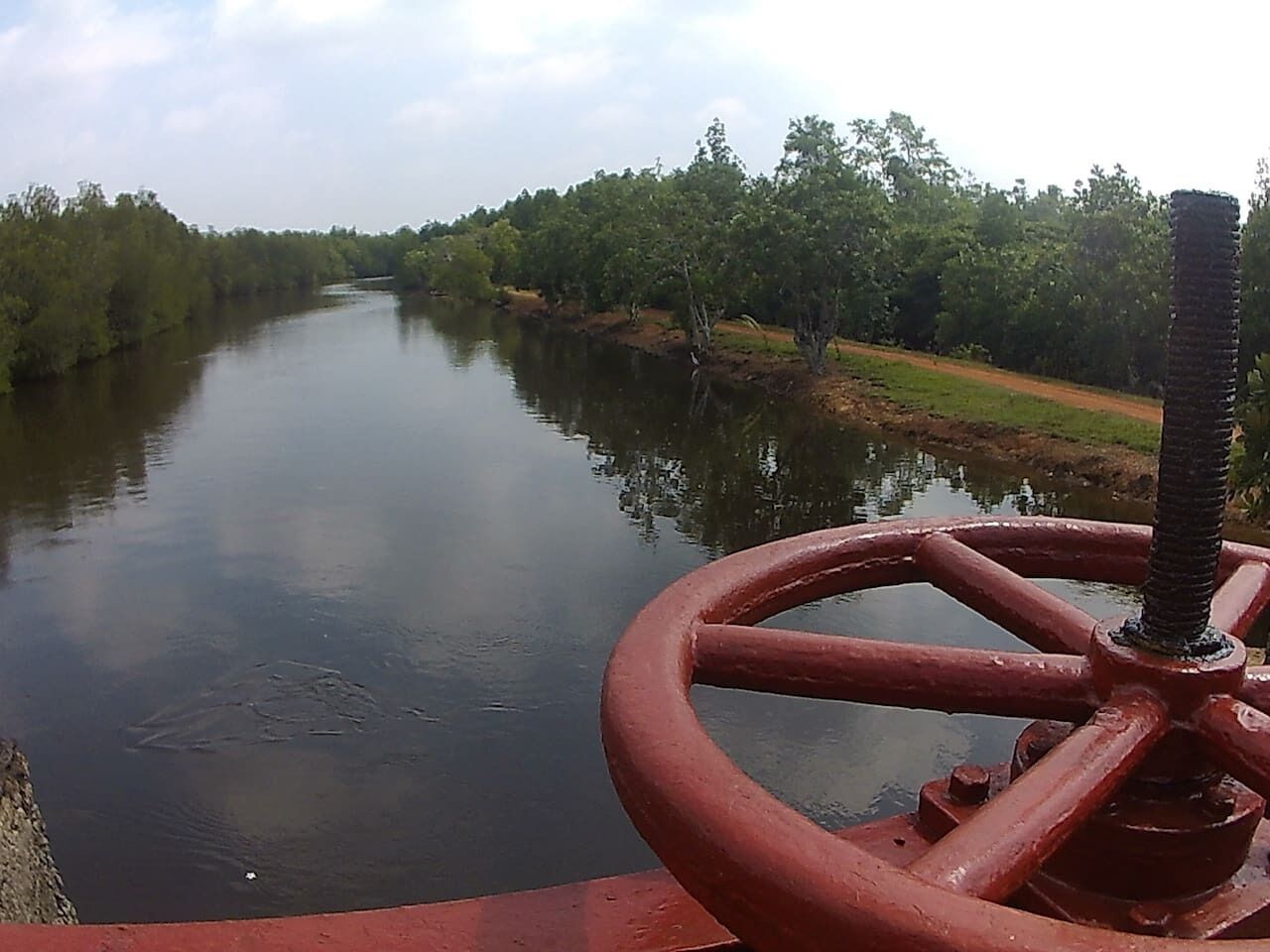 Ein Fluss mit einem roten Bedienrad, umgeben von Grün.
