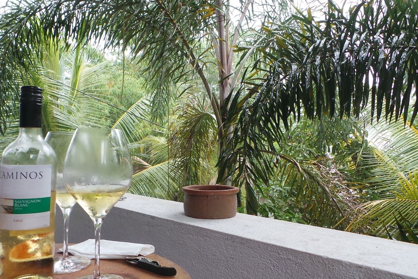 Eine Weinflasche, ein Glas und ein kleiner Terrakottatopf auf einem Balkon mit Blick auf dichtes Grün.