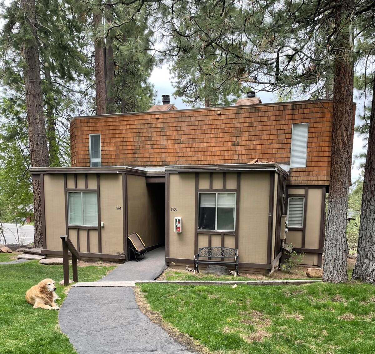 Image de profil de l’hôte