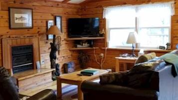 Smart TV, chimenea y libros