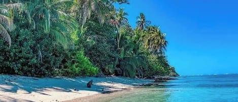 Biệt thự, 2 phòng ngủ, sân hiên, quang cảnh vườn | Ngoại thất