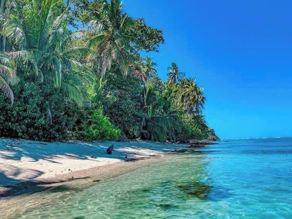 Villa - 2 sovrum - uteplats - utsikt mot trädgården | Exteriör